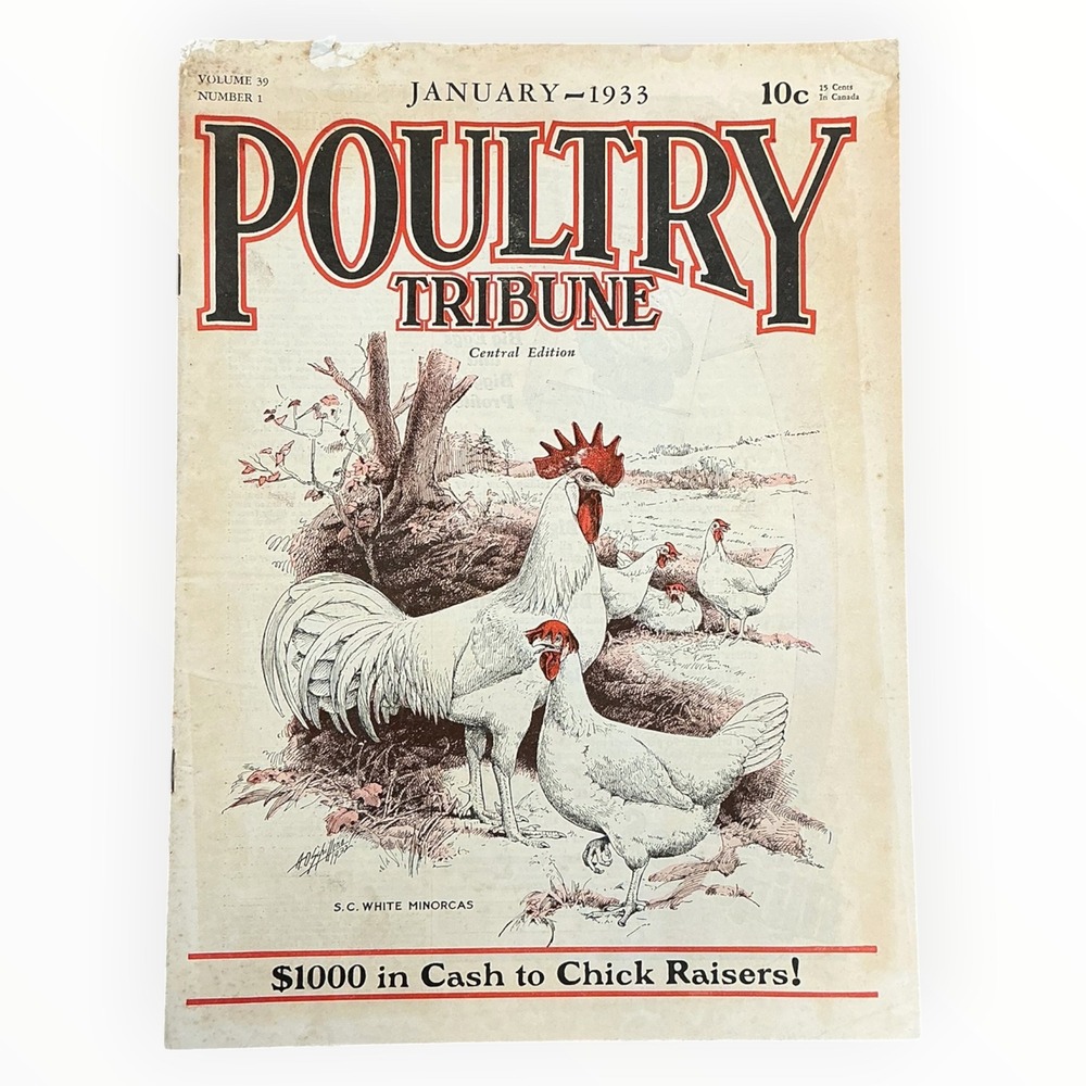 Poultry Tribune January 1933 White Minorca‎ Chick Raising Farm Magazine Vintage